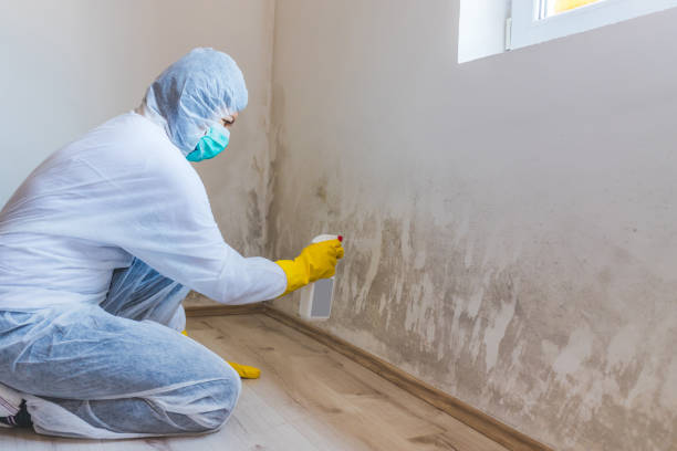 Hvac And Air Duct Mold Remediation inspection of HVAC system in Elmwood Park